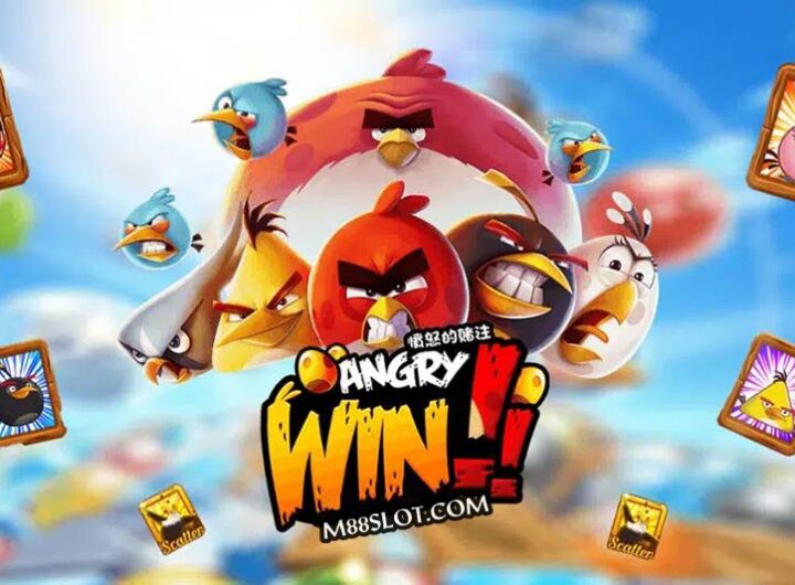 เกม Angry Win